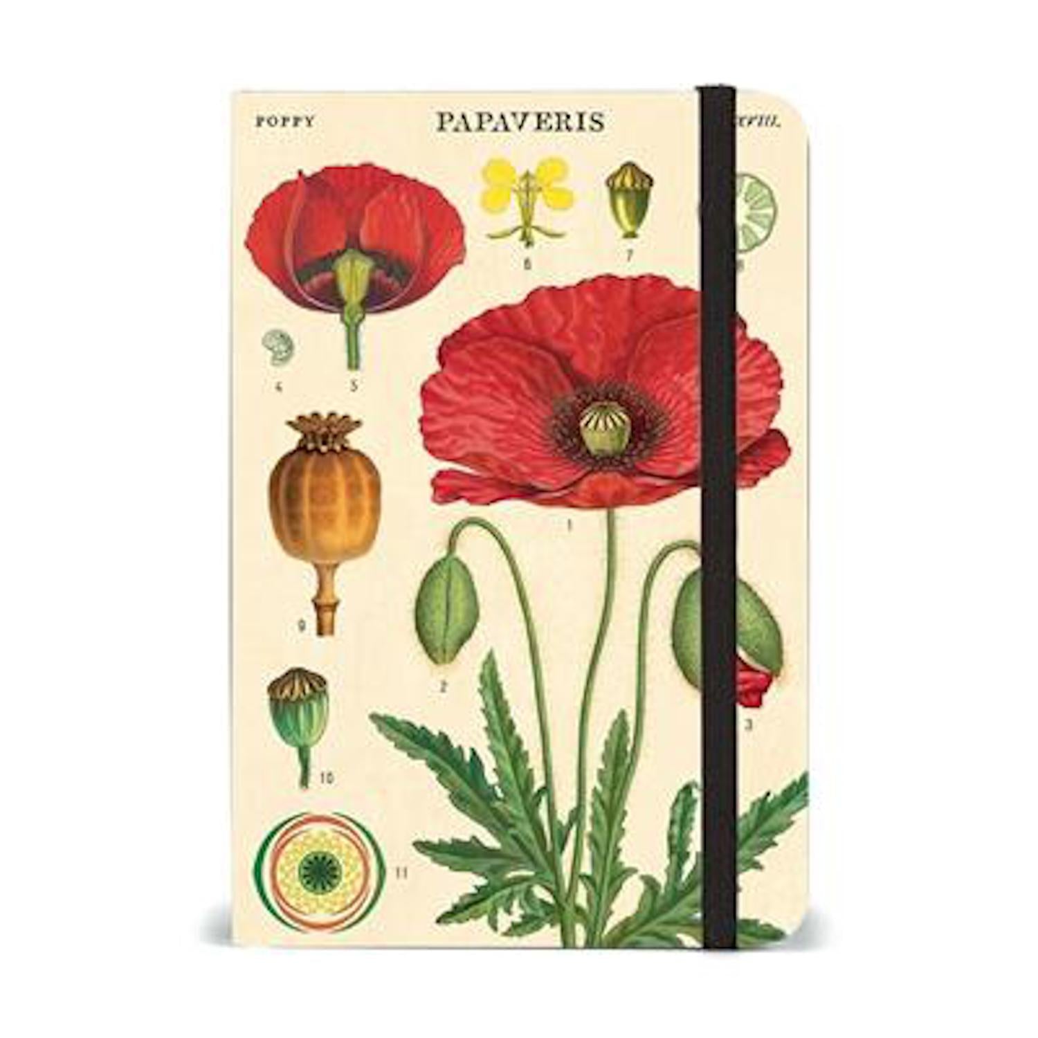 Botany Small Notebook
