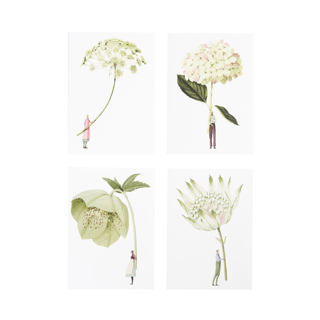 A set of four In Bloom Green Flowers Notecards with botanical illustrations on them. Brand Name: Hester &amp; Cook