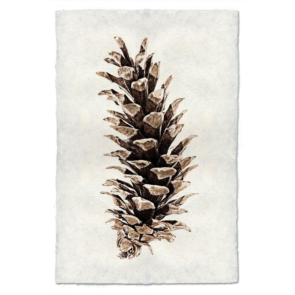 A drawing of a Western White Art Pine on Barloga Studios handmade paper with an old world look.