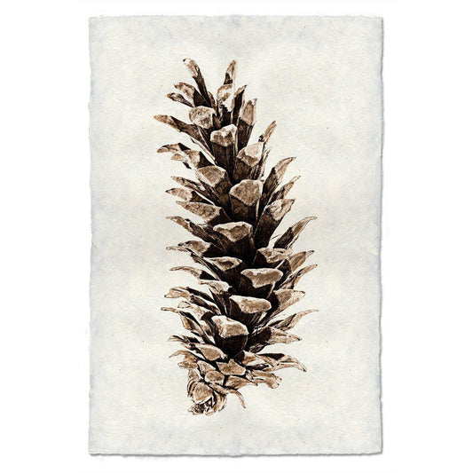 Western White Art Pine